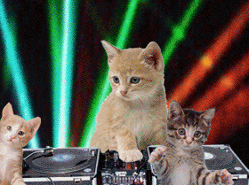 Gatitos